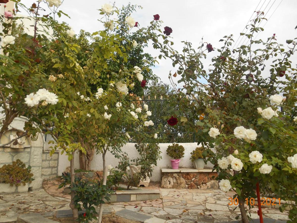 Melios Rooms Petalídhion Exterior foto